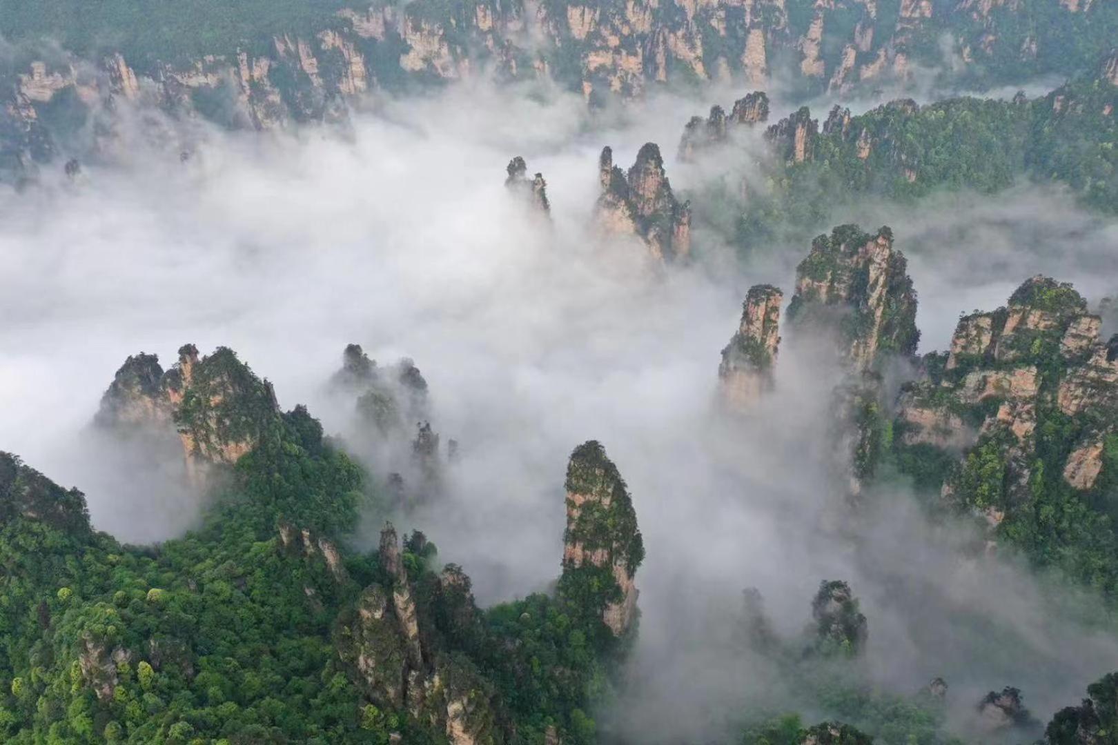 Zhangjiajie National Forest Park Camping Exterior photo